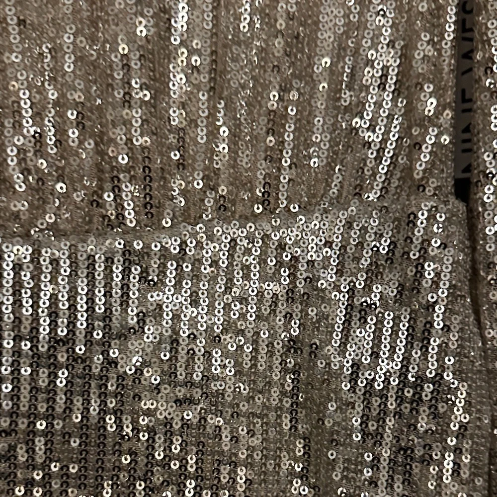 Silver Sequin Long Sleeve Dress - Picture 7 of 16